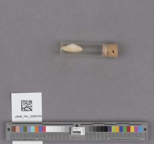 NSF ADBC EPICC TCN