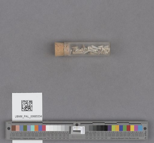 NSF ADBC EPICC TCN
