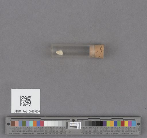 NSF ADBC EPICC TCN