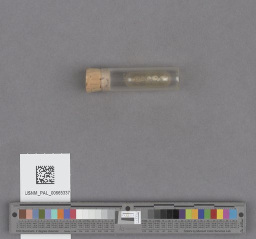 NSF ADBC EPICC TCN