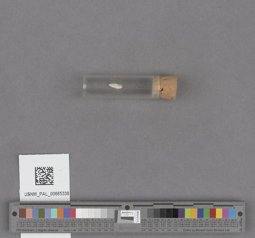 NSF ADBC EPICC TCN