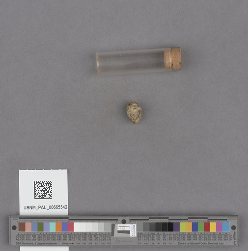 NSF ADBC EPICC TCN