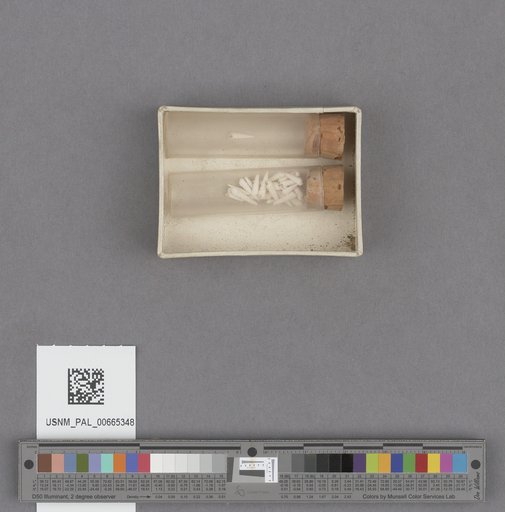 NSF ADBC EPICC TCN