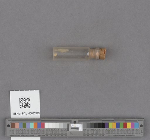 NSF ADBC EPICC TCN