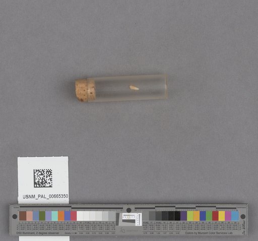 NSF ADBC EPICC TCN