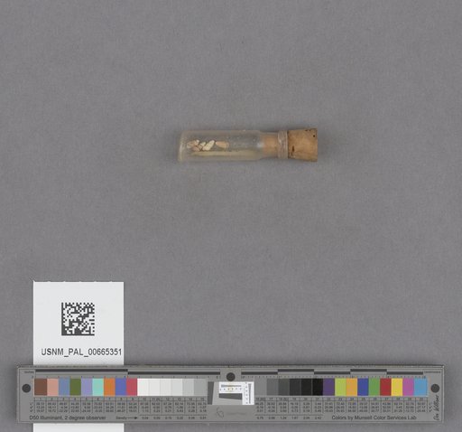 NSF ADBC EPICC TCN