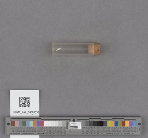 NSF ADBC EPICC TCN