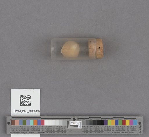 NSF ADBC EPICC TCN