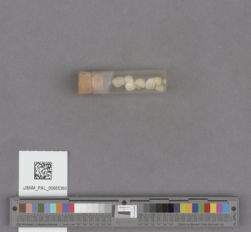 NSF ADBC EPICC TCN