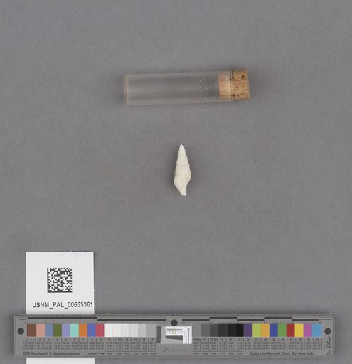 NSF ADBC EPICC TCN
