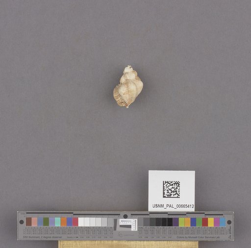 NSF ADBC EPICC TCN