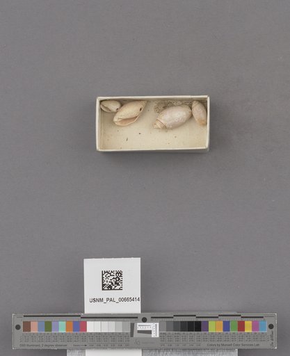 NSF ADBC EPICC TCN