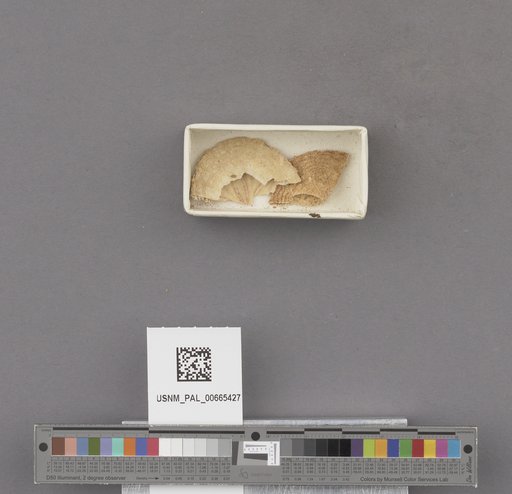 NSF ADBC EPICC TCN