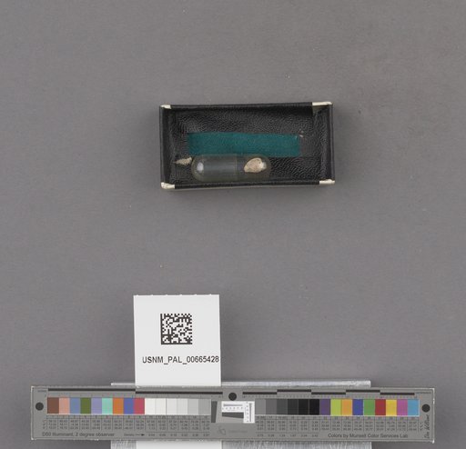 NSF ADBC EPICC TCN
