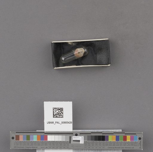 NSF ADBC EPICC TCN