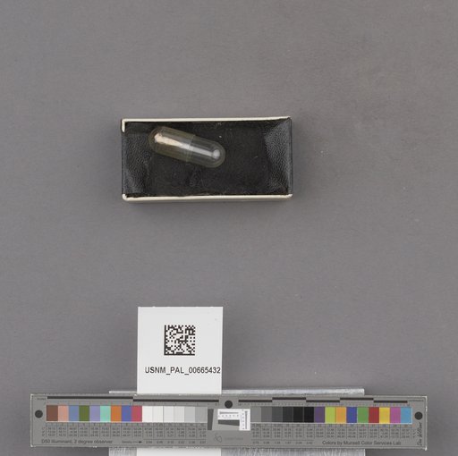 NSF ADBC EPICC TCN