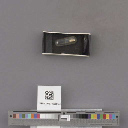 NSF ADBC EPICC TCN