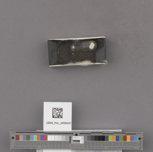 NSF ADBC EPICC TCN