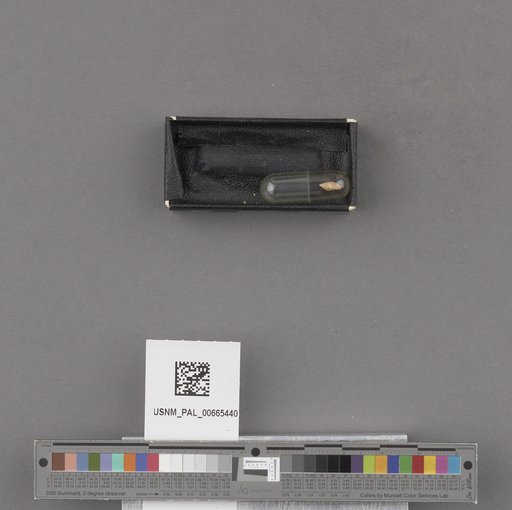 NSF ADBC EPICC TCN