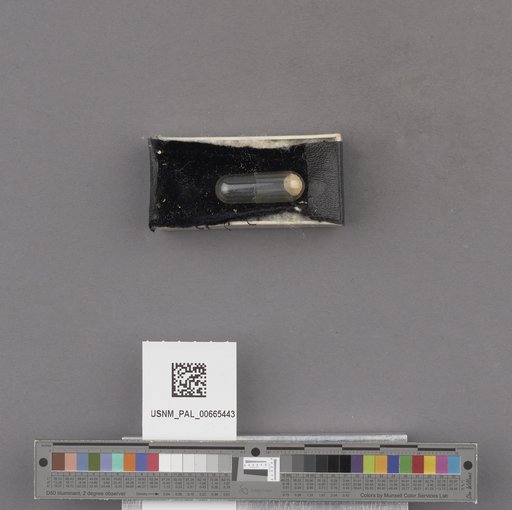 NSF ADBC EPICC TCN