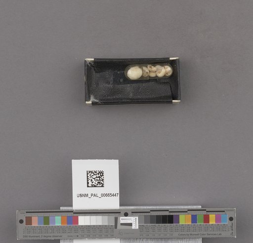 NSF ADBC EPICC TCN