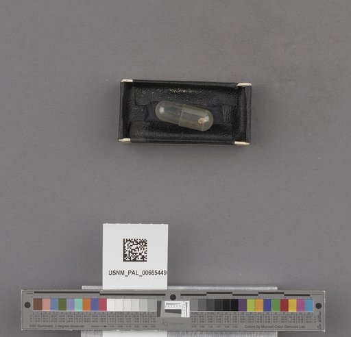NSF ADBC EPICC TCN