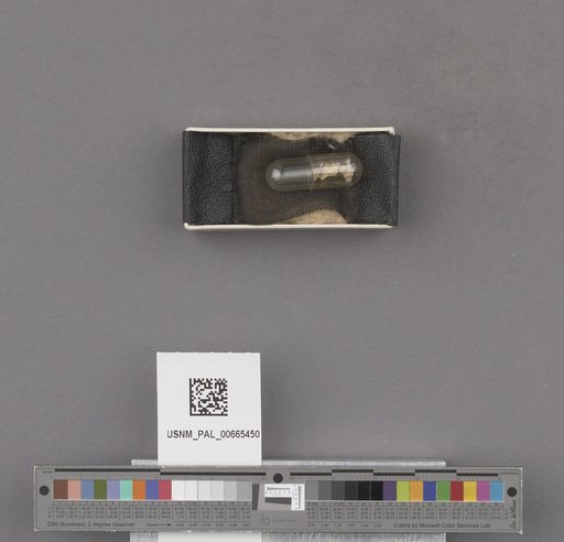 NSF ADBC EPICC TCN
