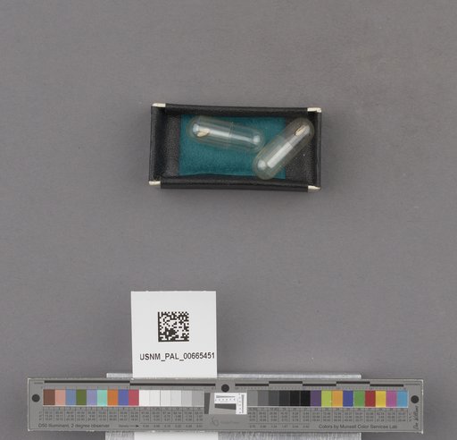 NSF ADBC EPICC TCN