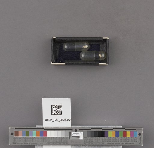 NSF ADBC EPICC TCN