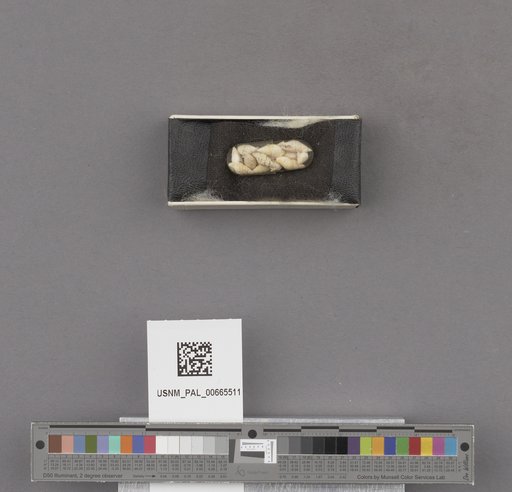 NSF ADBC EPICC TCN