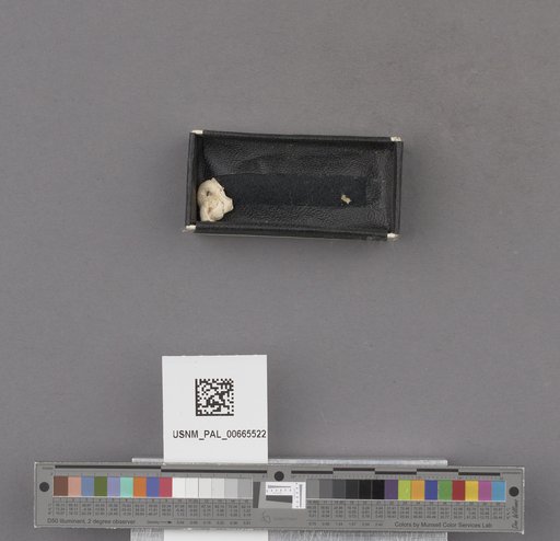 NSF ADBC EPICC TCN