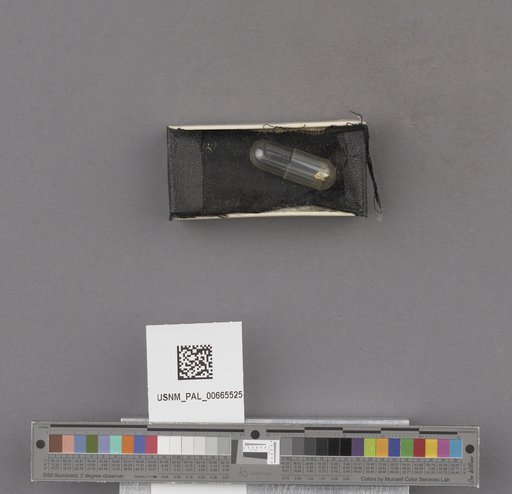 NSF ADBC EPICC TCN