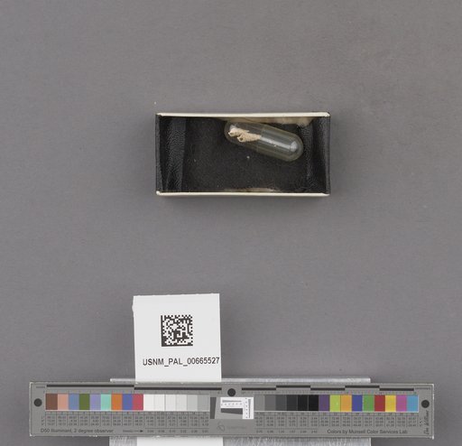 NSF ADBC EPICC TCN