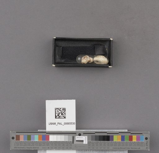 NSF ADBC EPICC TCN