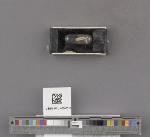 NSF ADBC EPICC TCN