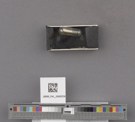 NSF ADBC EPICC TCN