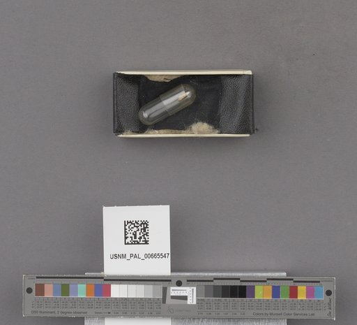 NSF ADBC EPICC TCN