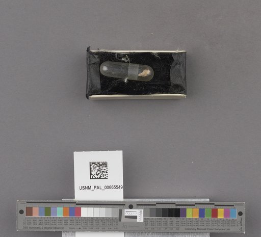 NSF ADBC EPICC TCN