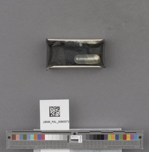 NSF ADBC EPICC TCN