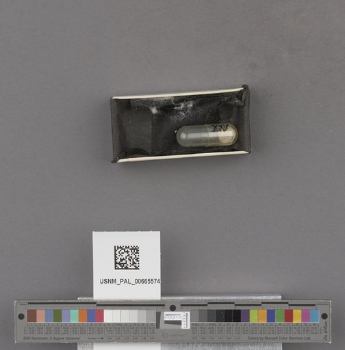 NSF ADBC EPICC TCN