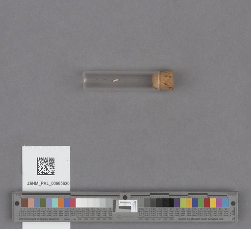 NSF ADBC EPICC TCN