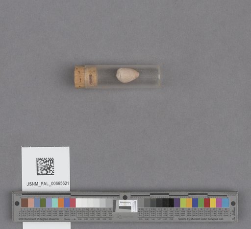 NSF ADBC EPICC TCN