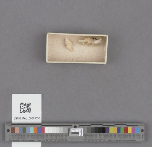 NSF ADBC EPICC TCN
