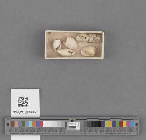 NSF ADBC EPICC TCN
