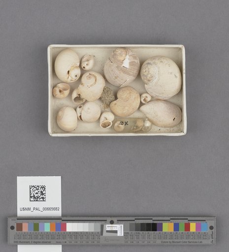 NSF ADBC EPICC TCN