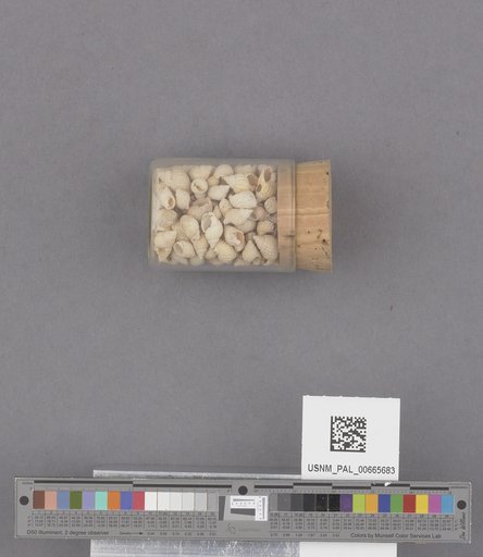 NSF ADBC EPICC TCN