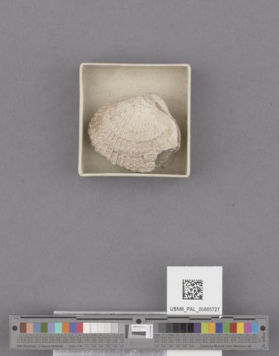 NSF ADBC EPICC TCN