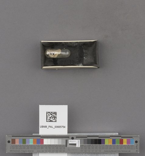 NSF ADBC EPICC TCN