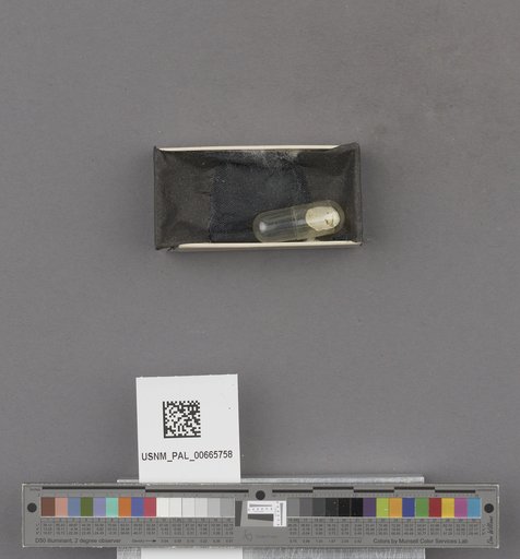 NSF ADBC EPICC TCN