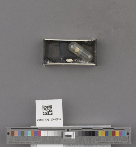 NSF ADBC EPICC TCN